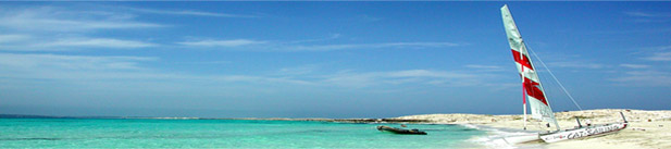 Sail yachts and Motor yachts for sale
