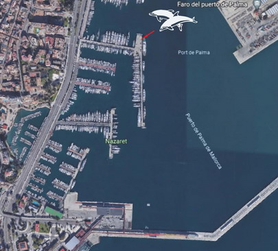 dolphin yachts location map, club de mar, palma de mallorca